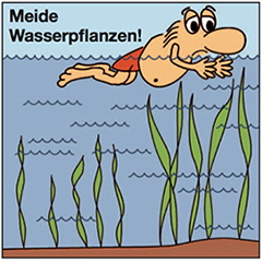 Meide Wasserpflanzen